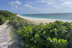 abaco-bliss-31