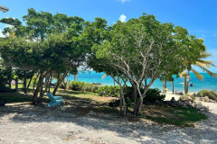 grotto-bay-bahamas-long-island-37